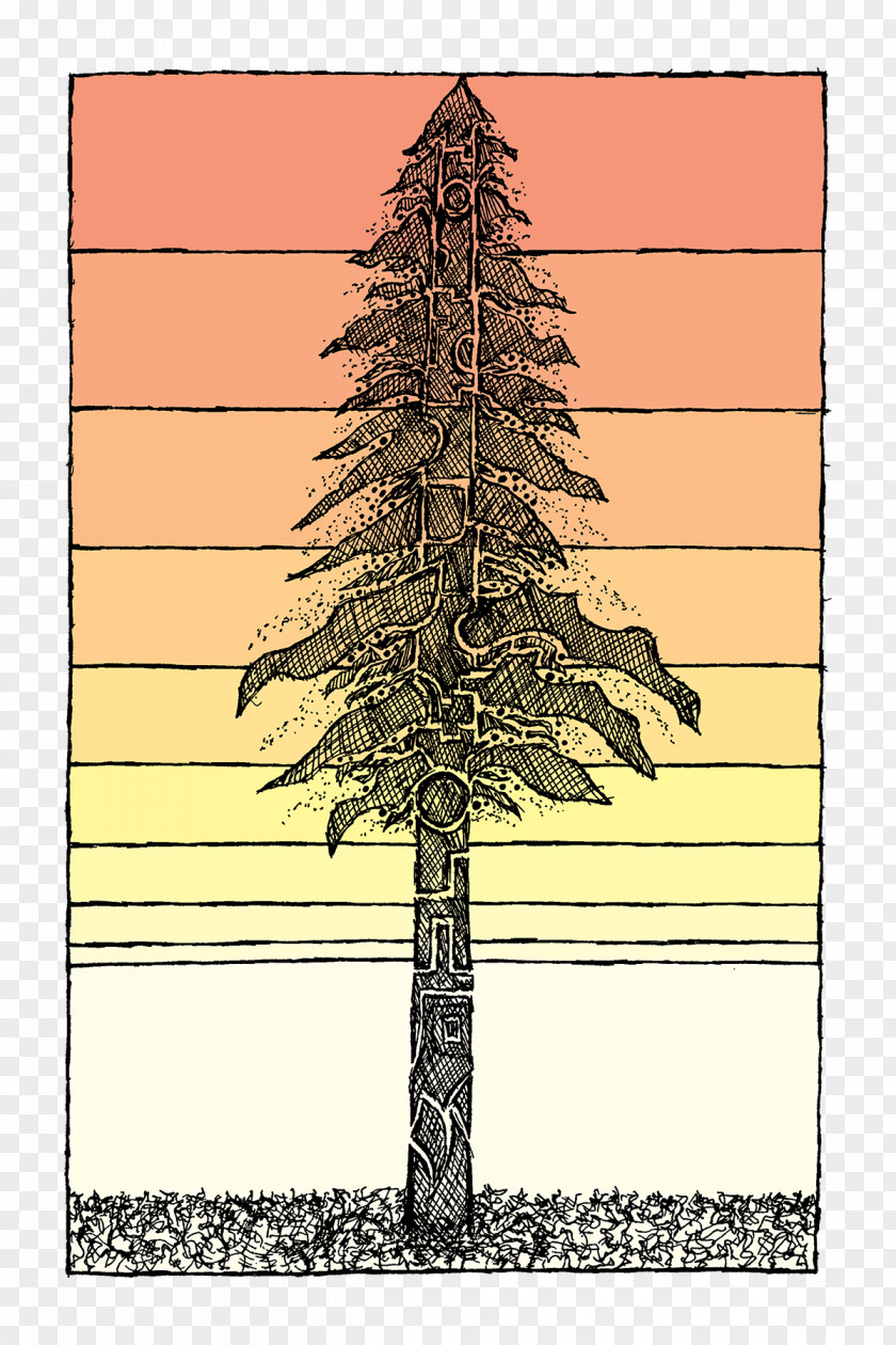Tree Coast Redwood Drawing Plant Sketch PNG