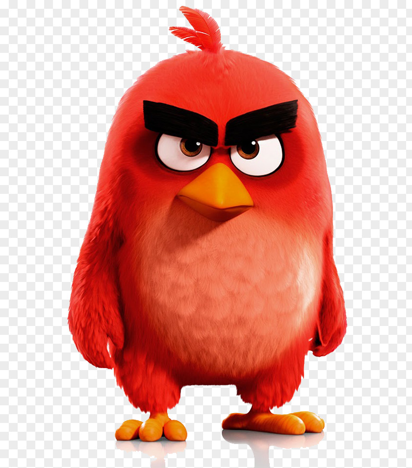 Angry Birds Stella YouTube Film PNG