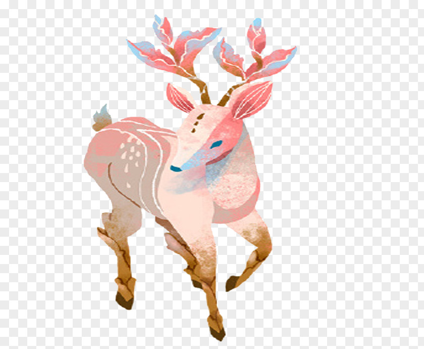 Deer Reindeer Formosan Sika Illustration PNG