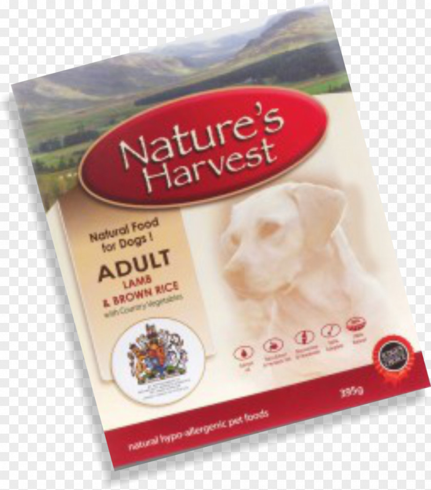 Dog Food Ragout Puppy PNG