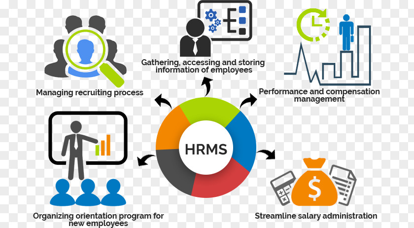 Human Resource Management System Capital PNG