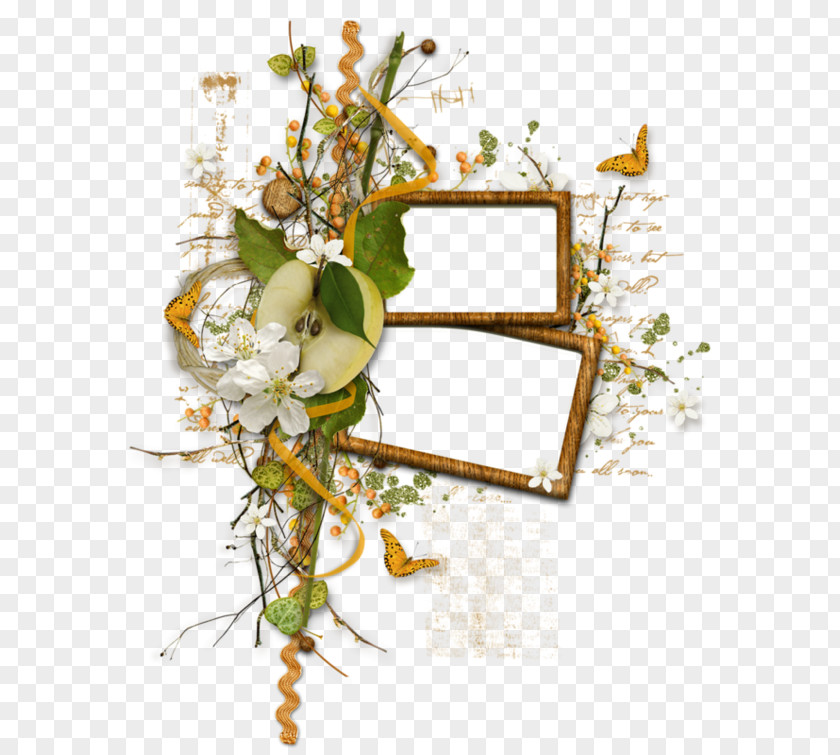 Photo Frame Tree Picture Frames Clip Art Image Borders And PNG