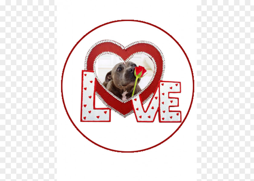 Puppy Love Alt Attribute February 22, 2018 Galway Text Logo PNG