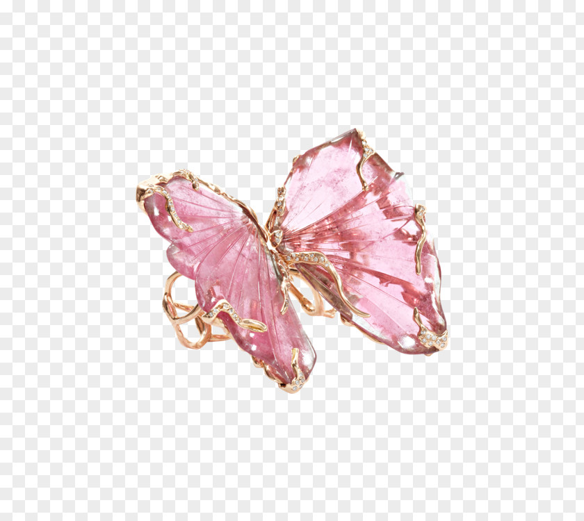 Ring Earring Gemstone Butterfly Jewellery PNG