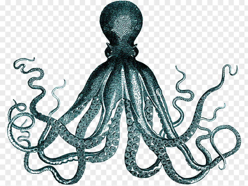 Tresure Octopus Vintage Clothing Drawing PNG