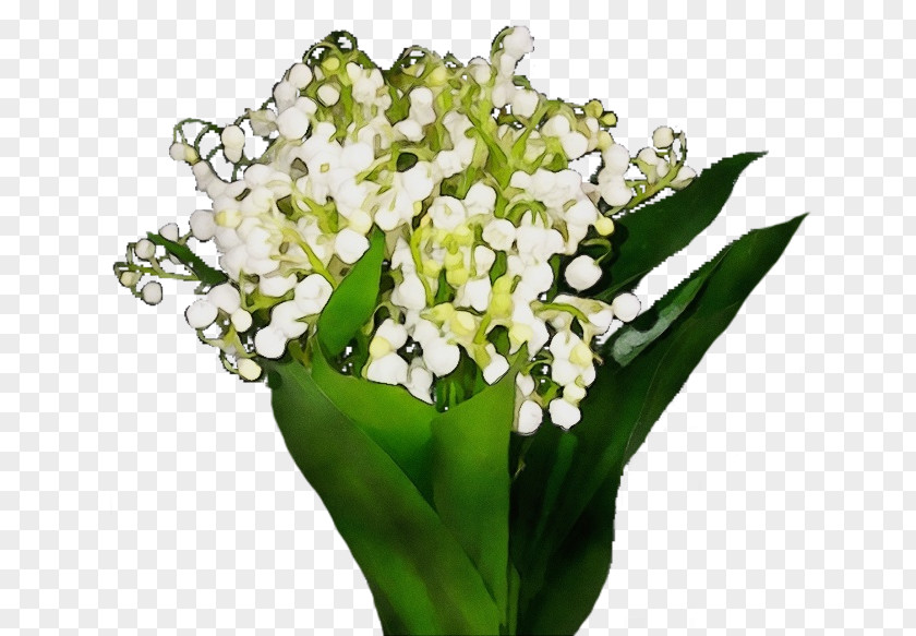 Floral Design PNG