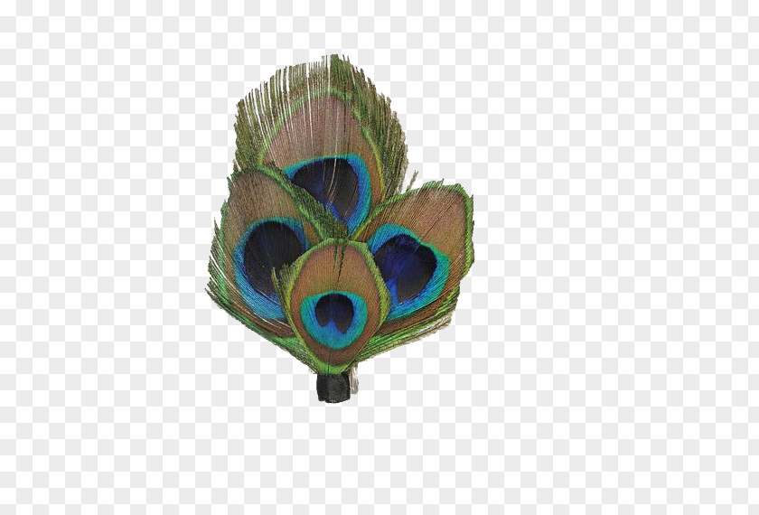 Peacock Feathers Fan Feather Peafowl Wedding PNG