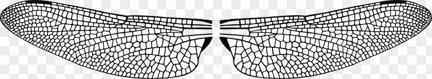 Wings To Fly Line Shoe Angle White Font PNG