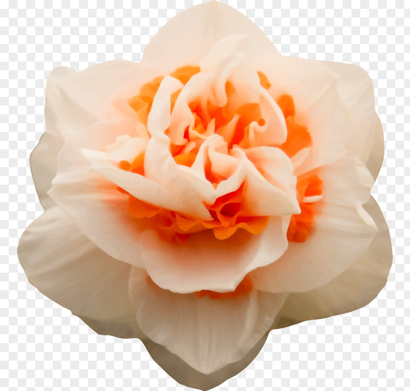 生日快乐 Garden Roses PhotoFiltre Clip Art PNG