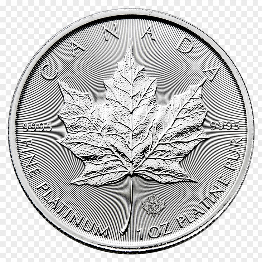 Gold Canadian Platinum Maple Leaf Coin Bullion PNG