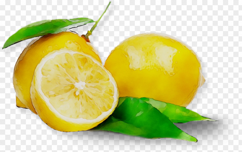 Green Tea Lemon Juice Drink PNG