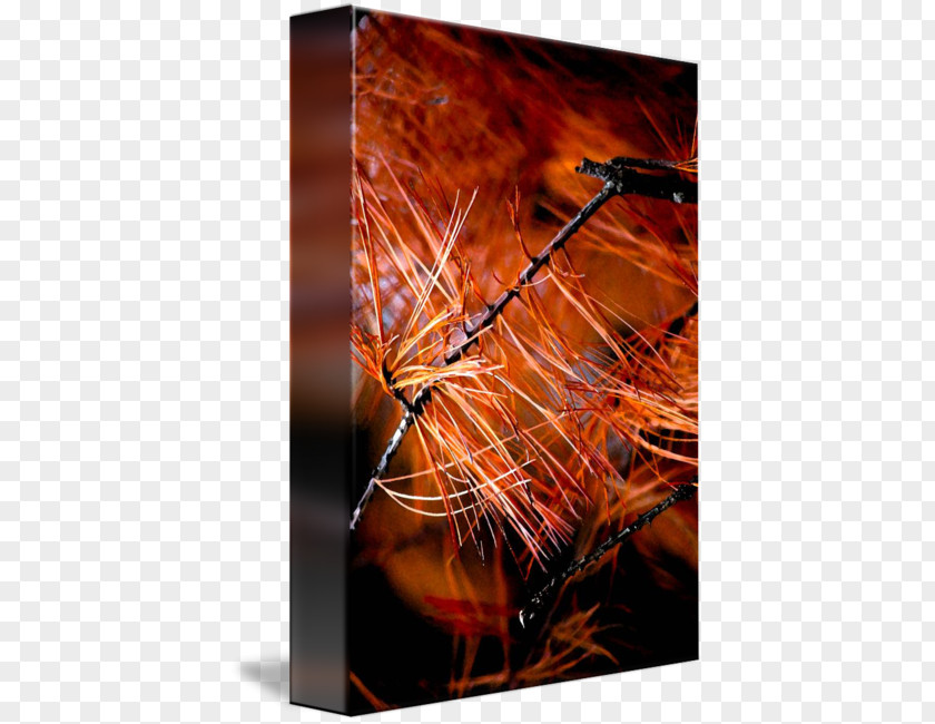 Pine Needles Modern Art Desktop Wallpaper Heat Computer PNG