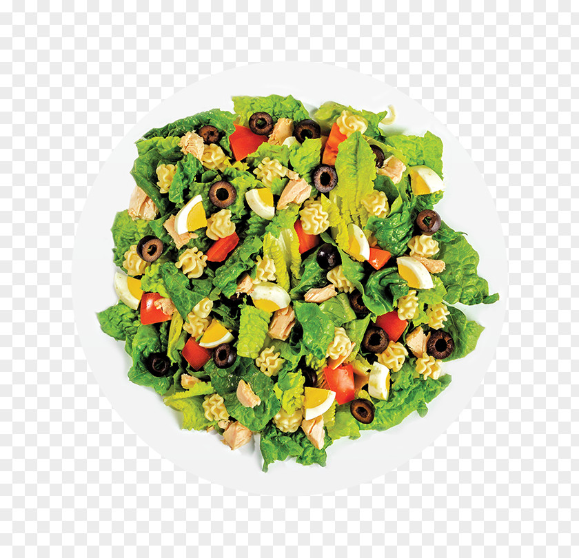 Salad Nicoise Wrap Stuffing Saladworks PNG