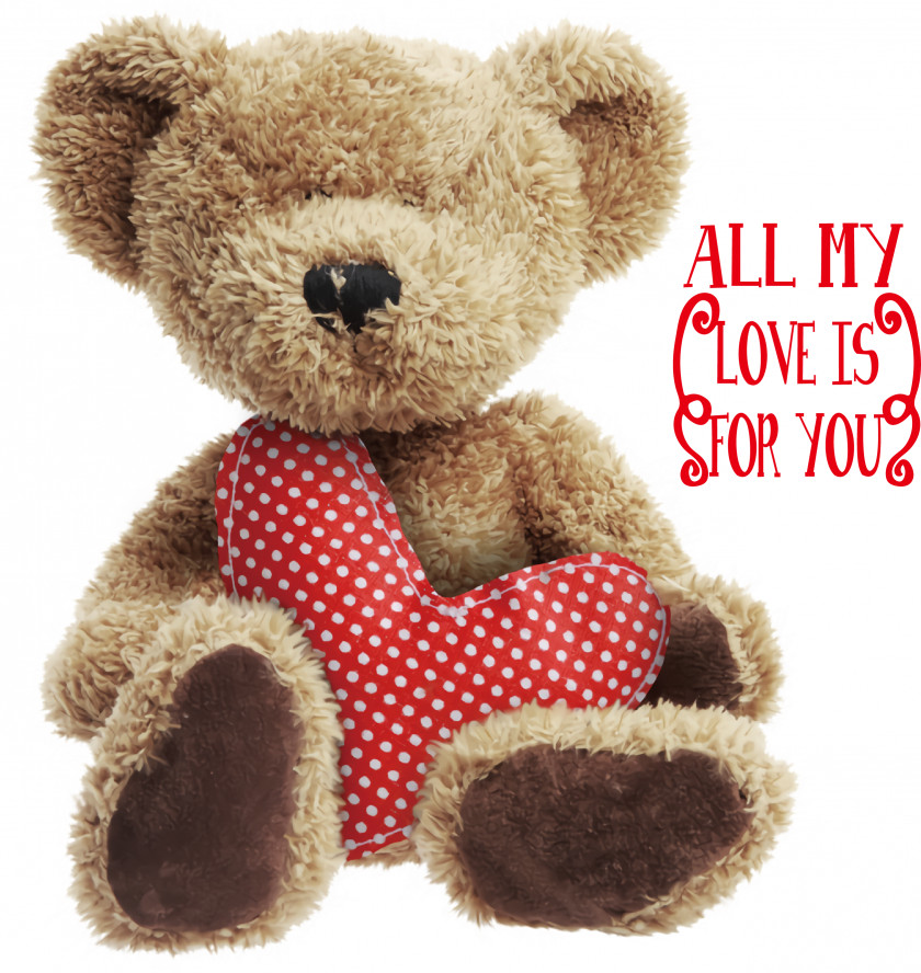 Teddy Bear PNG