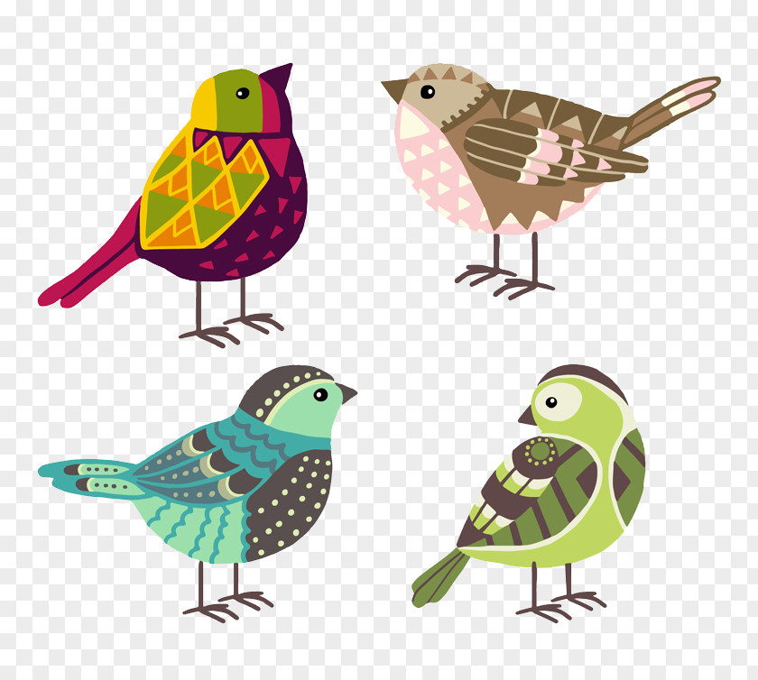 Bird Vector PNG