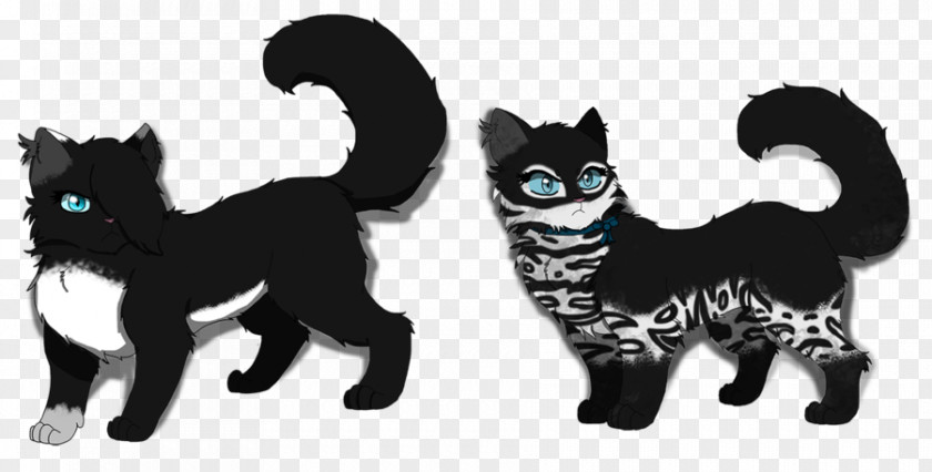 Black Cat Blue Eyes Bengal Kitten Whiskers Dog Canidae PNG