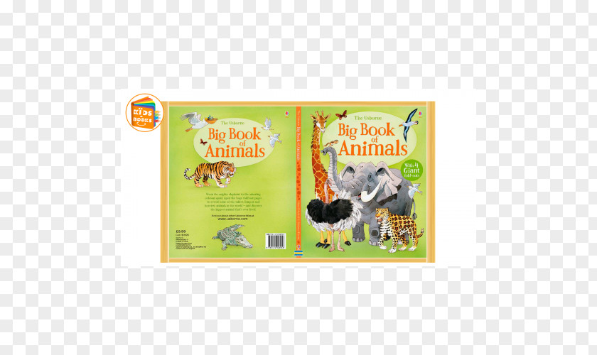 Book Big Of Animals Animal Alphabet Activity Doodles PNG