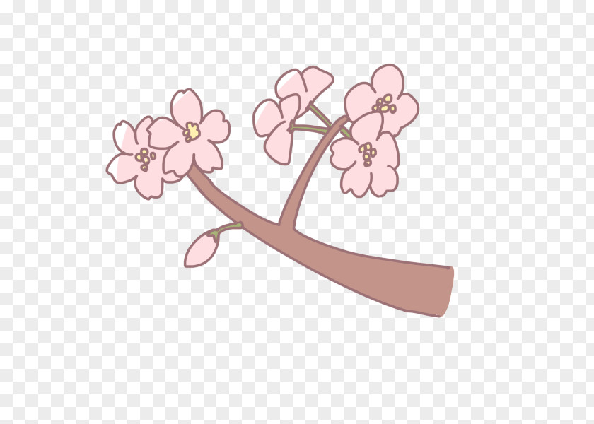 Cherry Blossom Hanami 葉桜 Clip Art PNG
