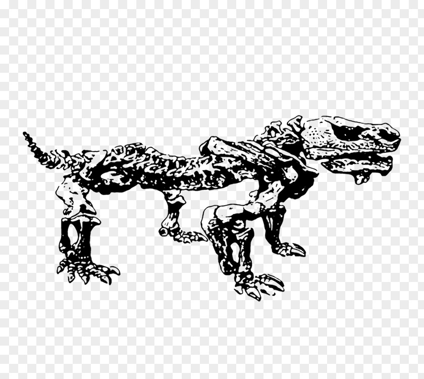 Dinosaur Skeleton Tyrannosaurus Paleontology Clip Art PNG