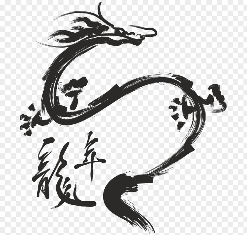 Dragon Chinese Calligraphy Characters PNG