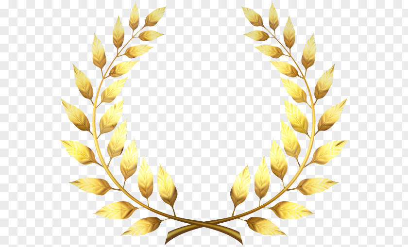 Laurel Wreath Clip Art Bay PNG