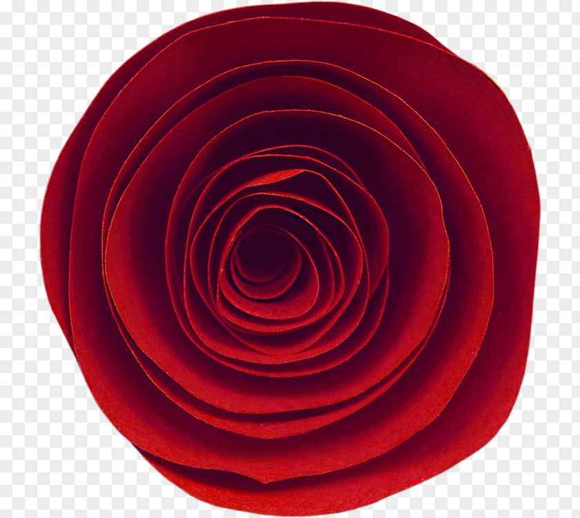 Red Roses Garden Circle PNG