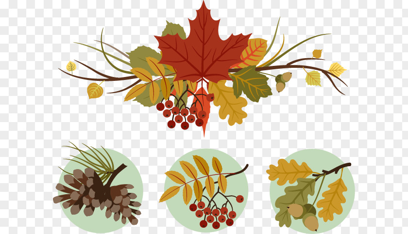 Thanksgiving Vector Decorative Motifs Motif Clip Art PNG