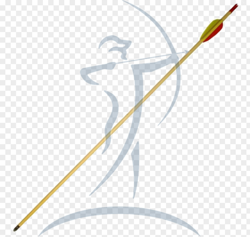 Wood Arrow Archery Hunting Crossbow Bogentandler GmbH PNG