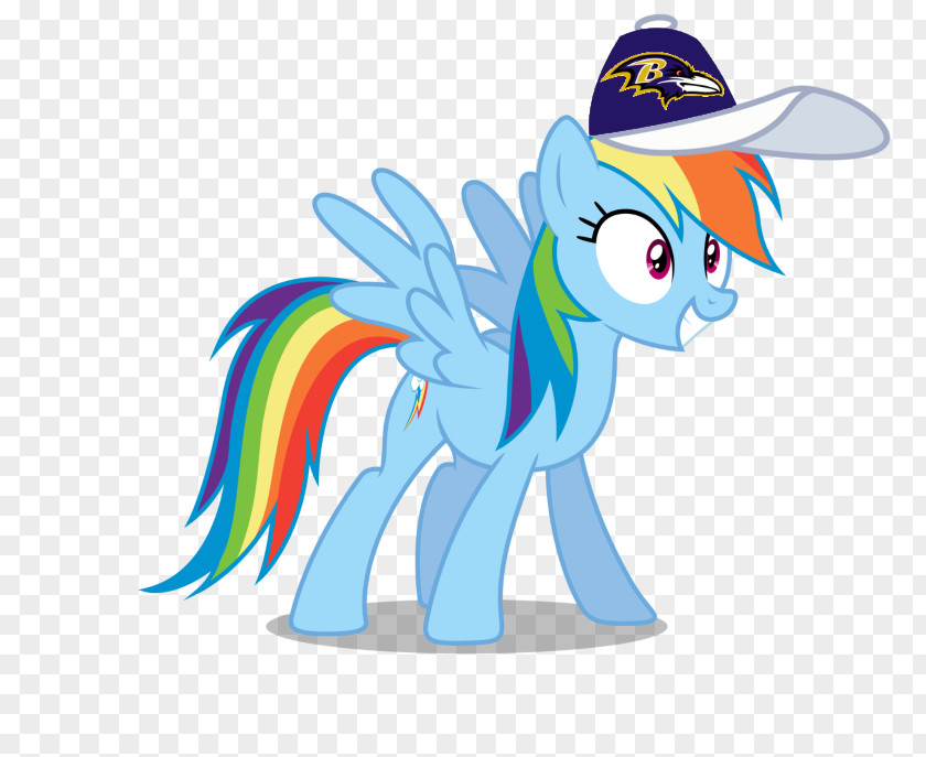 Hat Rainbow Dash Rarity Spike Fluttershy Applejack PNG