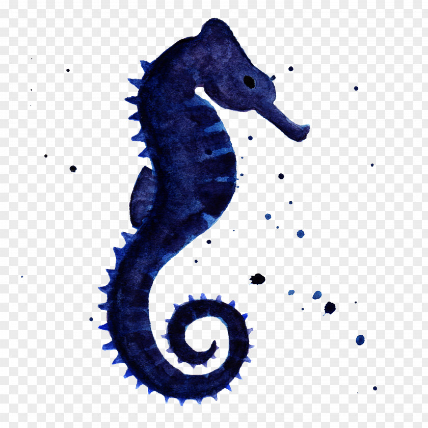 Seahorse Aquatic Animal Syngnathiformes PNG