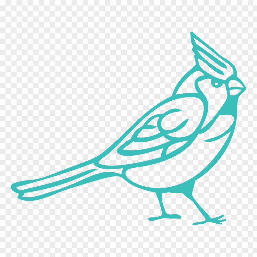 Bird Clip Art Northern Cardinal PNG