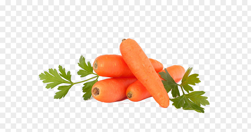 Carrot Baby Vegetable Online Grocer Organic Food PNG