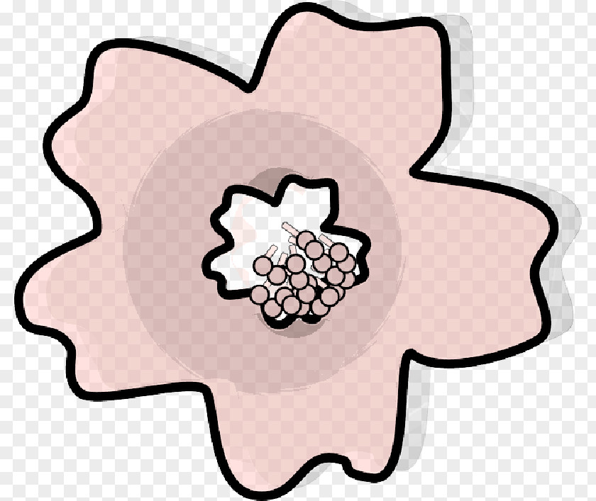 Cherry Blossom Clip Art Drawing Image PNG