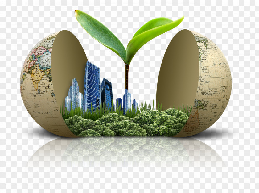 Egg In The World. Green Building Environmentally Friendly Material PNG