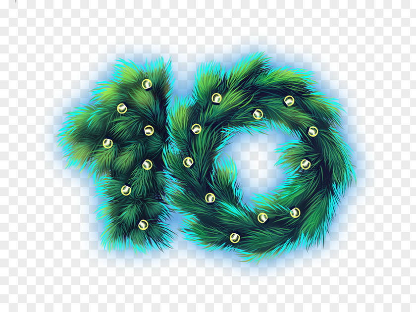 Feather PNG