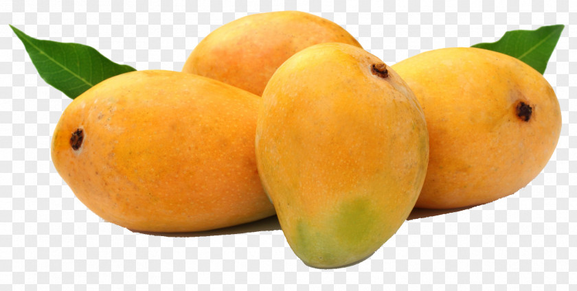 Mango Alphonso Fruit Devgad Taluka Organic Food PNG