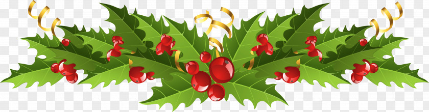 Mistletoe Cliparts Transparent Christmas Decoration Clip Art PNG