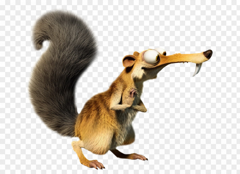 Squirrel Scrat Manfred Ice Age Film Animation PNG