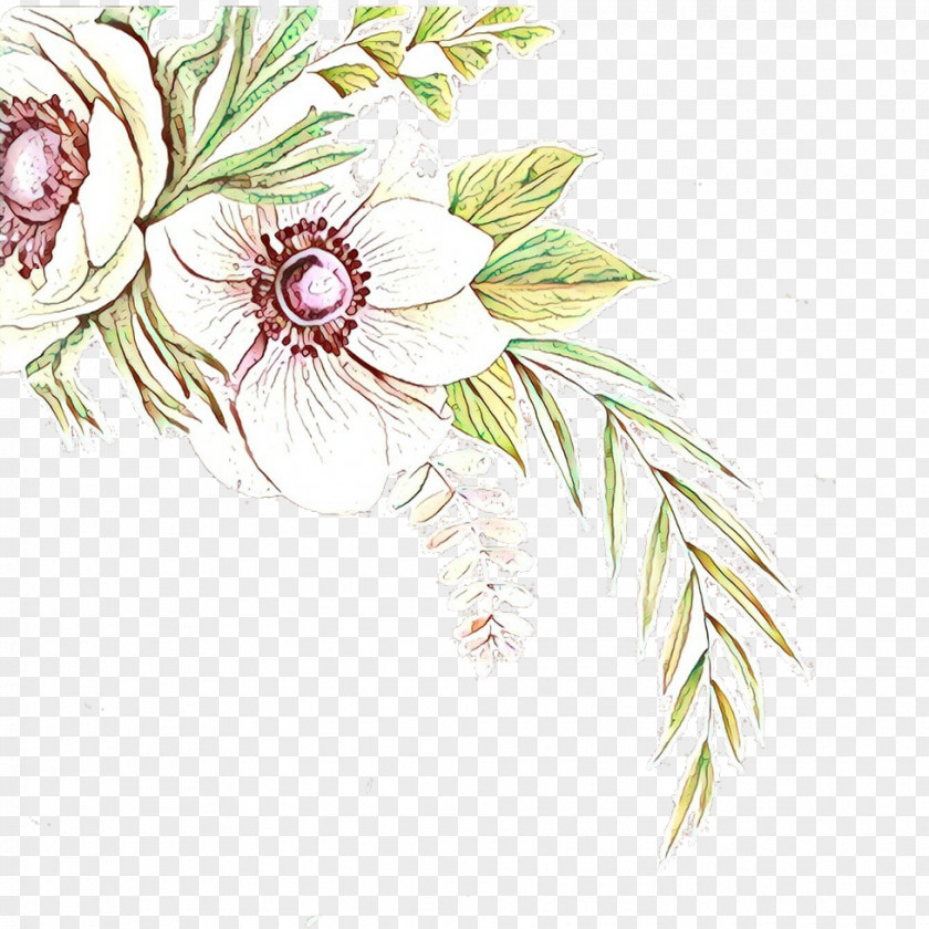 Wildflower Gerbera Flowers Background PNG