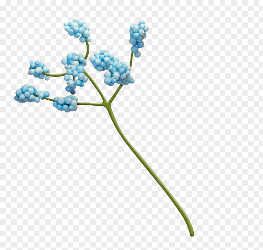 Flower Blue Mavi PNG