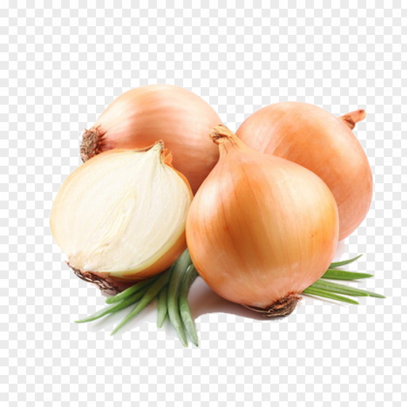 Onion Potato Vegetable Food Yellow PNG
