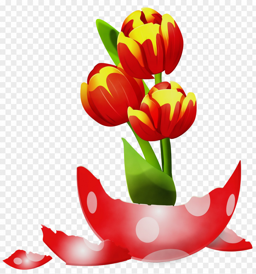 Petal Flower Tulip Plant Cut Flowers PNG