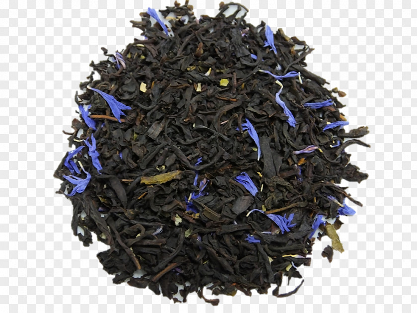 Tea Nilgiri Dianhong Golden Monkey Cobalt Blue PNG