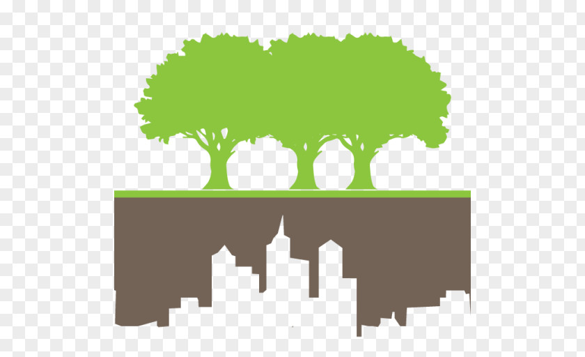 Urban Voids: Grounds For Change Landscape Architecture Arboretum Tree PNG