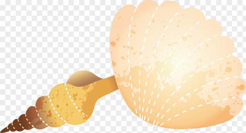 Conch Ice Cream Seashell Sea Snail PNG