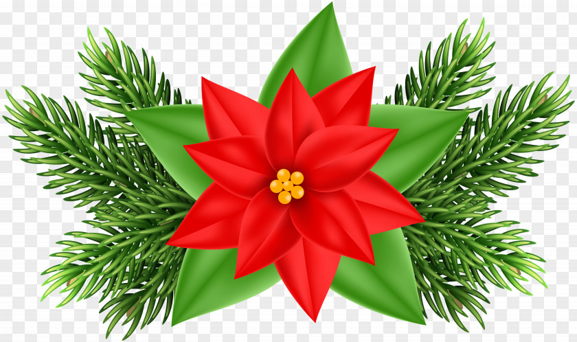 Poinsettia Clipart Christmas Ornament Tree Clip Art PNG