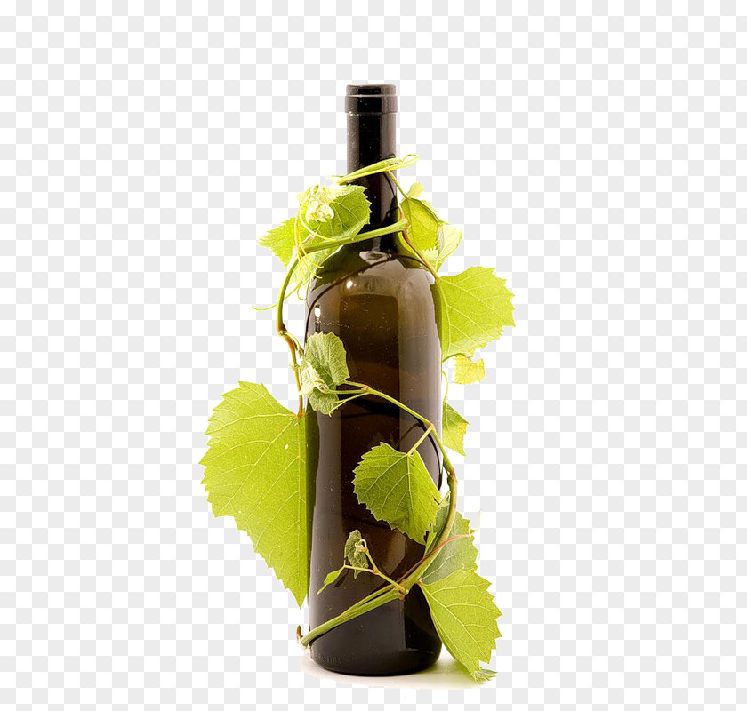Wine Red Common Grape Vine Bottle Glass PNG