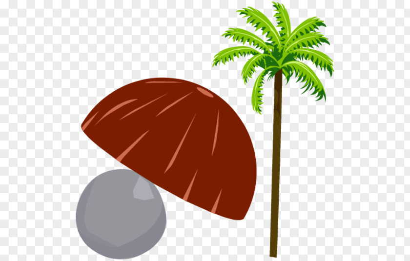 Coconut Shell Leaf Product Design Clip Art Plant Stem PNG