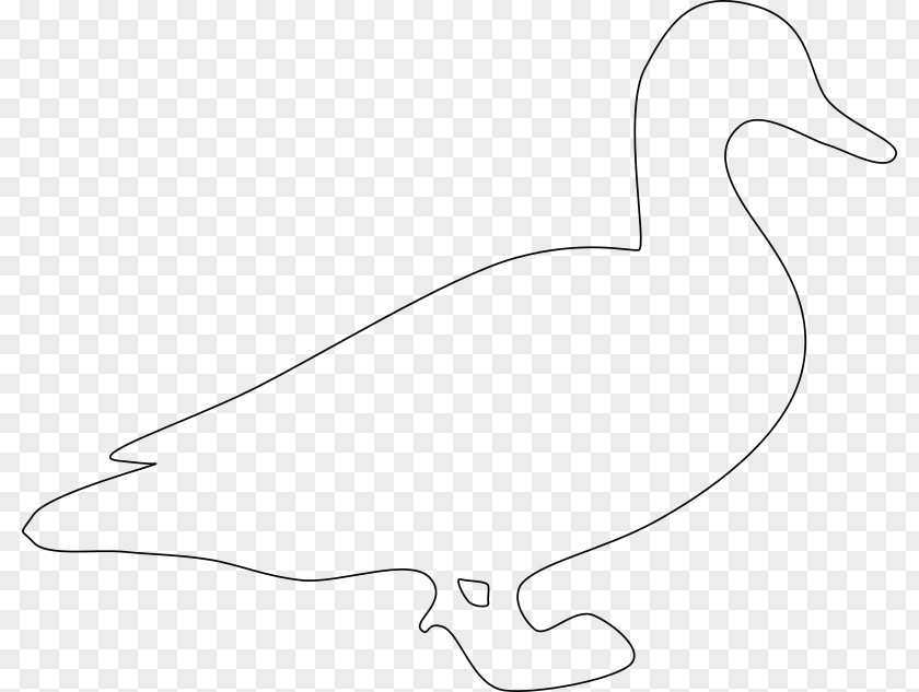 Duck Goose Line Art Clip PNG