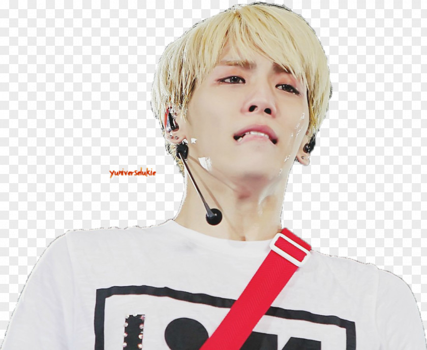 JongHyun SHINEE Taeyeon SHINee K-pop Disc Jockey Why So Serious? – The Misconceptions Of Me PNG